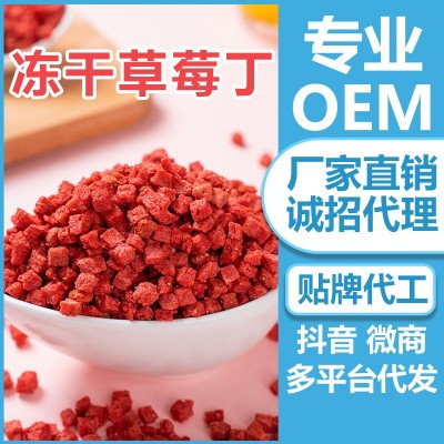 冻干FD100克/袋草莓粒草莓丁碎烘焙蛋糕装饰代餐水果茶雪花酥配料