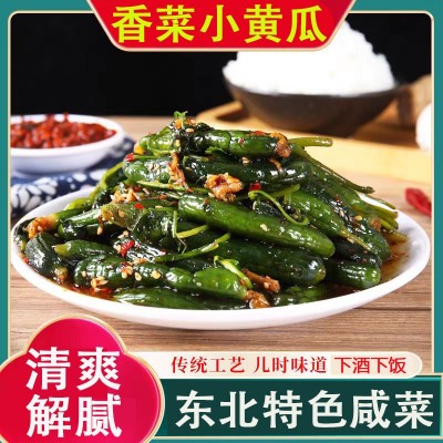 东北正宗咸菜香菜小黄瓜腌制咸菜咸香下饭菜下酒菜黄瓜扭